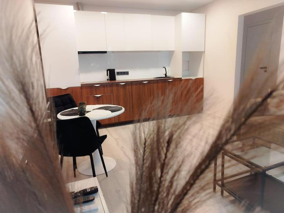 Apartment Pailsek Rasytes Oazeje, Kaune *