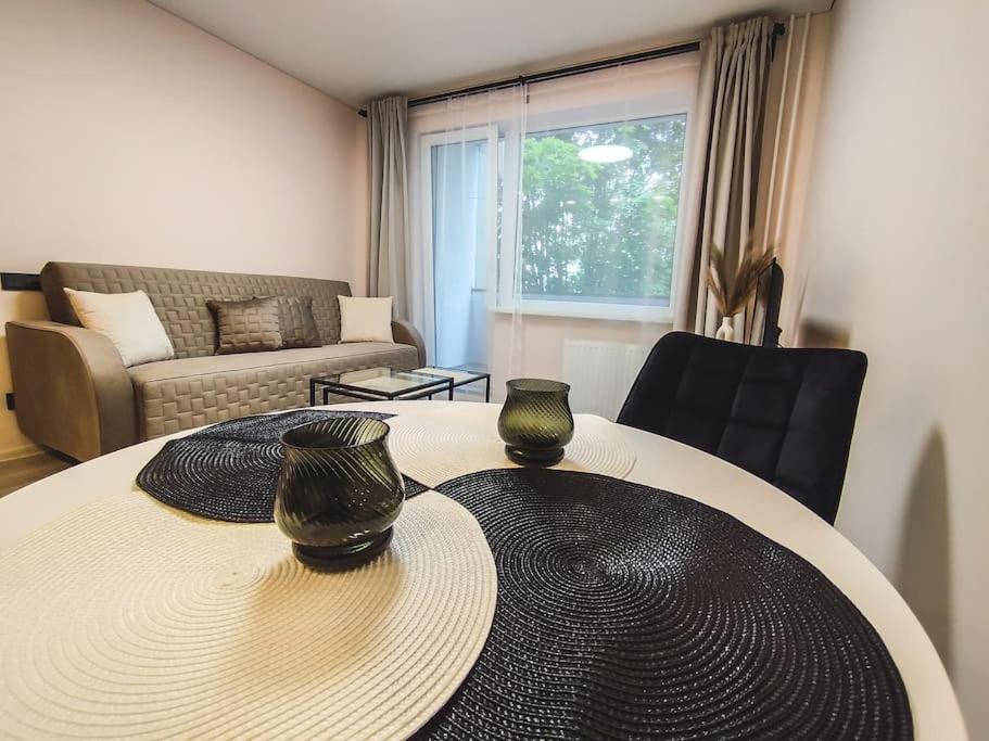 Pailsek Rasytes Oazeje, Kaune Apartment *
